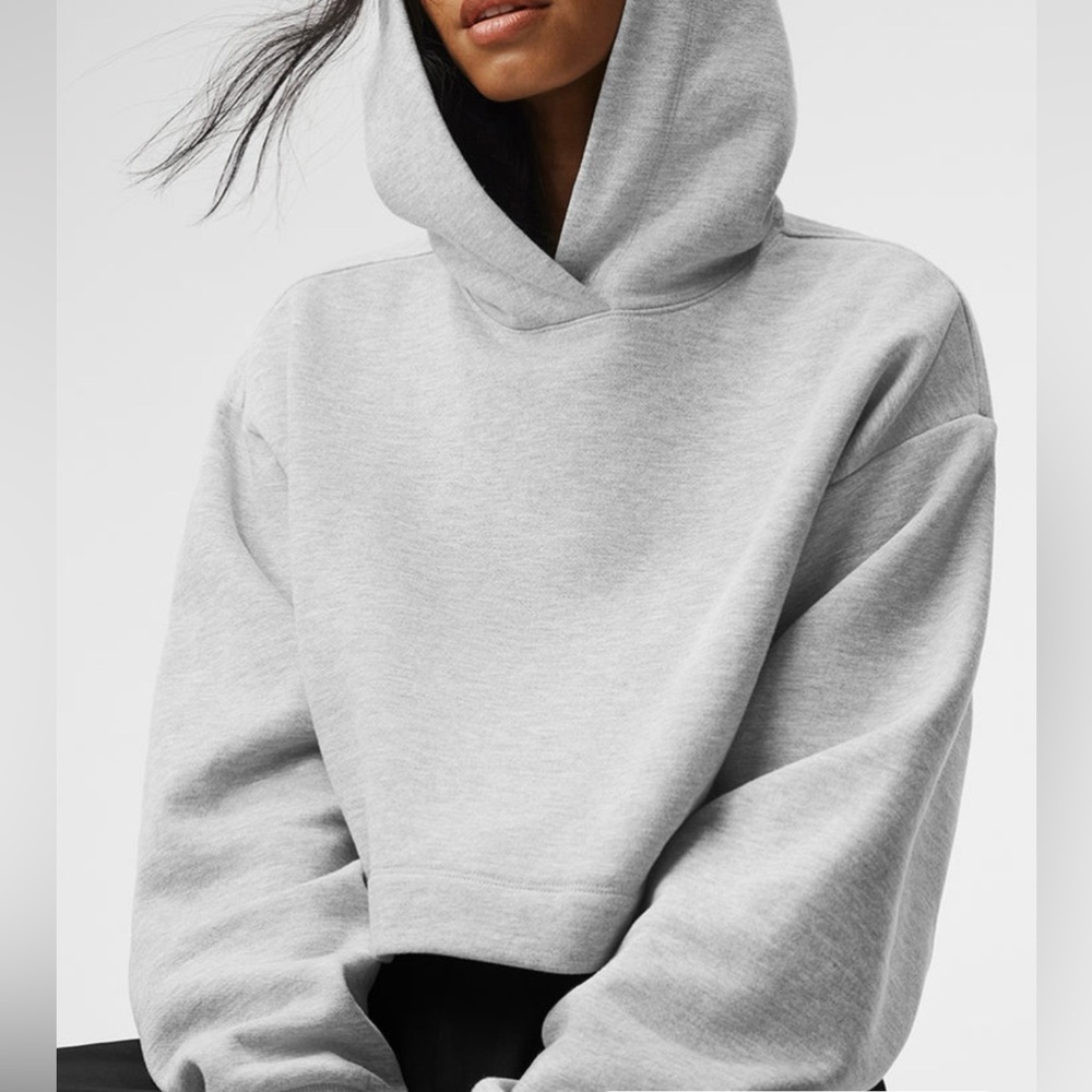 Alo Bae Grey Cropped Hoodie Size Small
